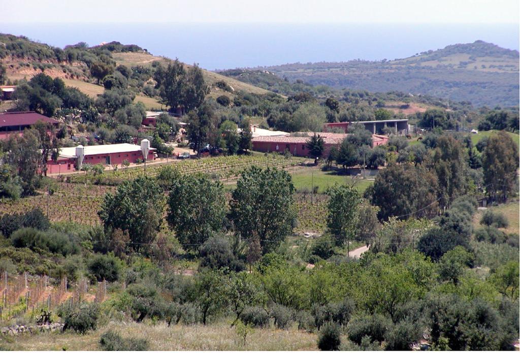 Villa Agriturismo Su Barraccu Loceri Exterior foto