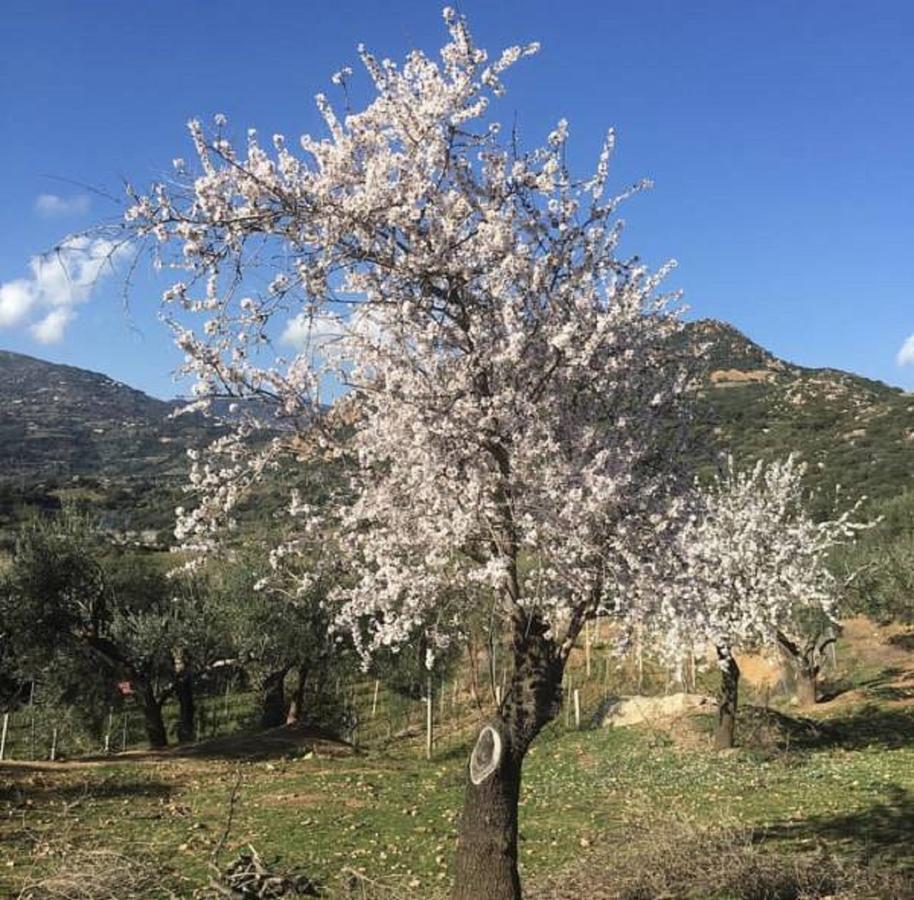 Agriturismo Su Barraccu Loceri Exterior foto