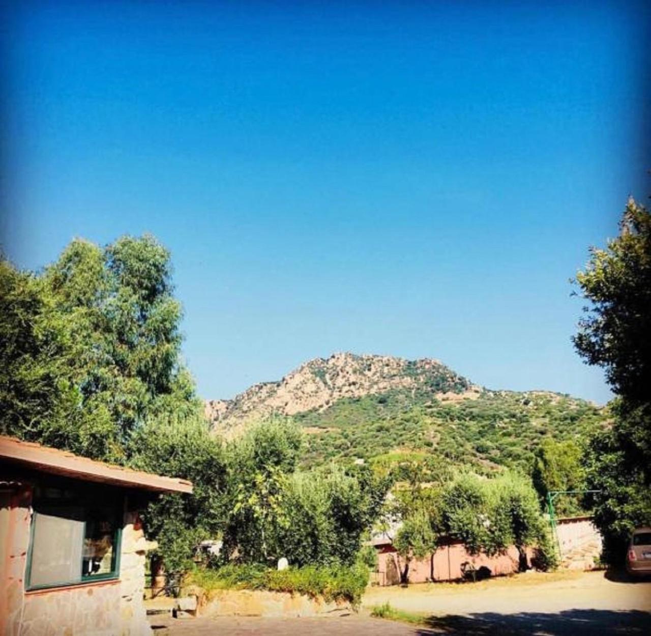 Agriturismo Su Barraccu Loceri Exterior foto
