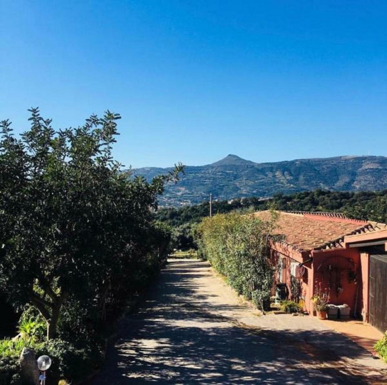 Agriturismo Su Barraccu Loceri Exterior foto